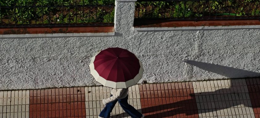 Bajo el sol de Marbella Paseando por Marbella